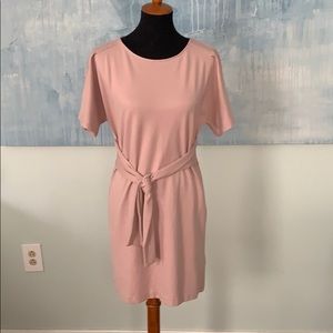 Express Pink Tie Dress
